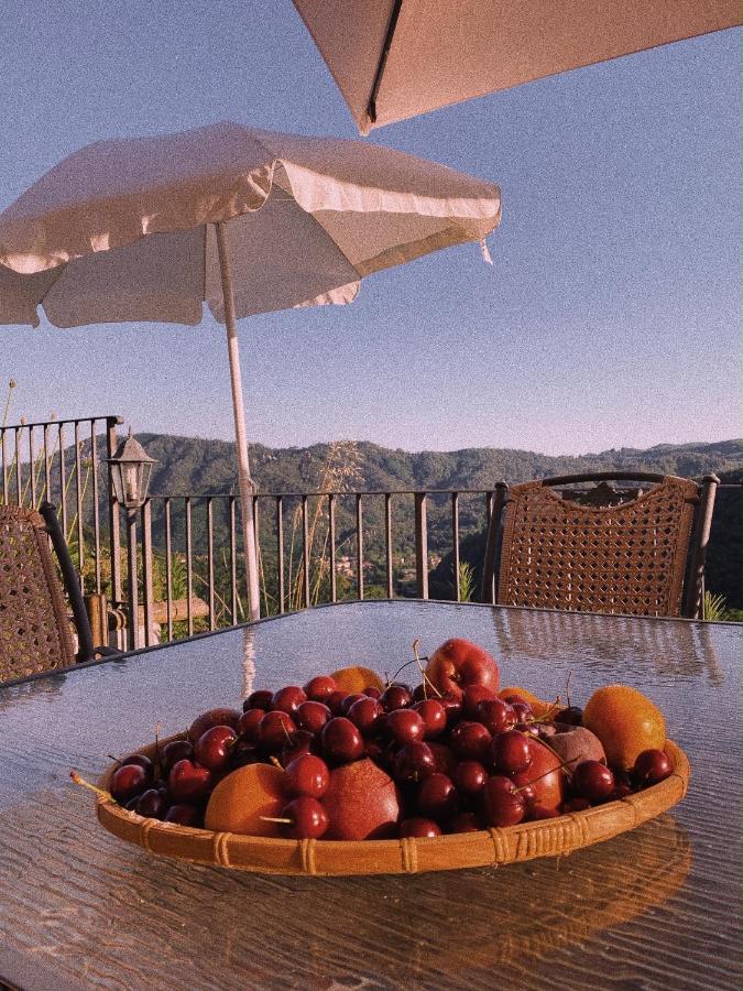 La Pianella Farmhouse Лукка Экстерьер фото